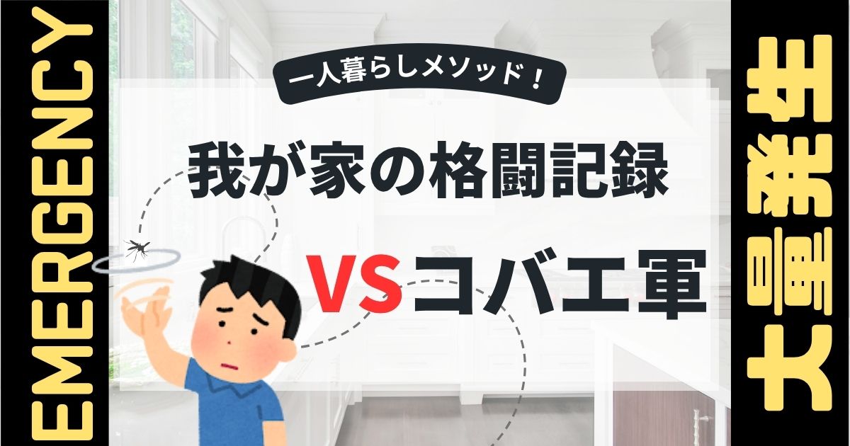 小蝿格闘記録
