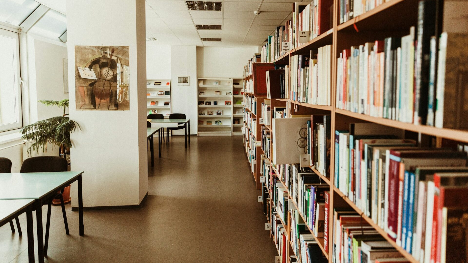 図書館の写真