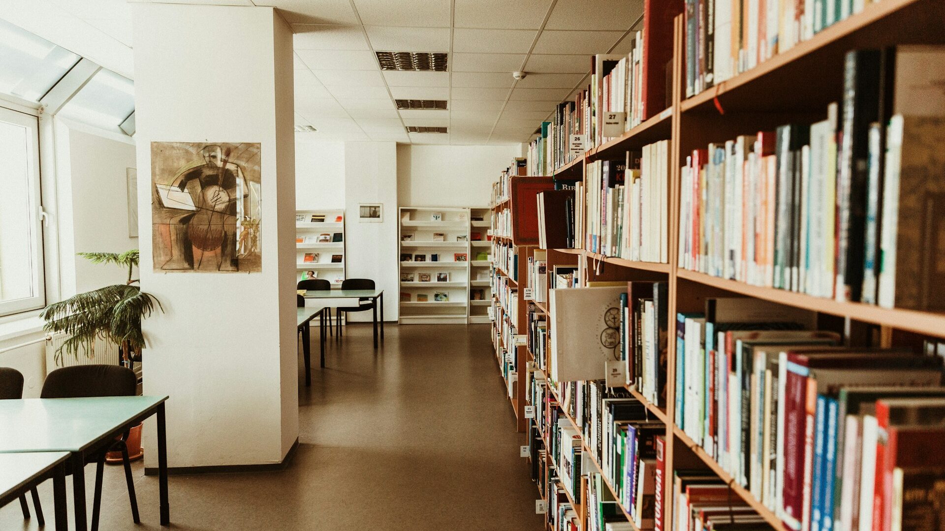 大学の図書館の写真